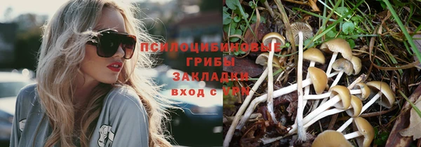 спайс Алексеевка