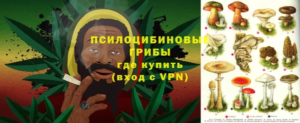 мяу мяу мука Абдулино