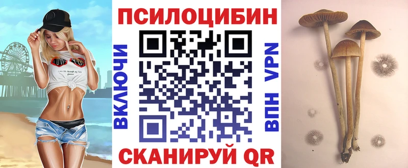 кракен как войти  Грязи  Псилоцибиновые грибы Cubensis  продажа наркотиков 